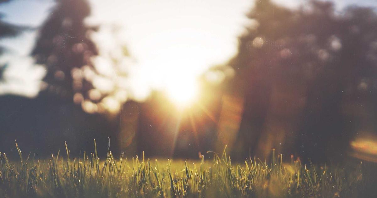 Network load balancing traffic distribution